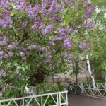Сильный дождь, гроза и град – какой будет погода 9 мая в СКО