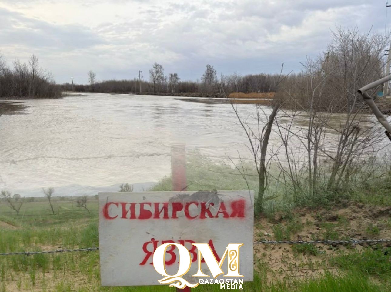 СҚО-да мал қорымдары тасқын кезінде су астында қалды