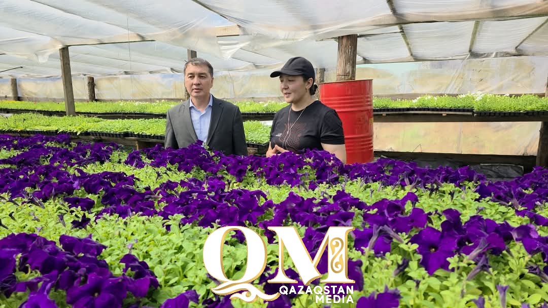 Цветочный рай: как село Имантау всю страну рассадой обеспечивает
