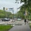 Неласковый май. За сутки в почти месячная норма осадков выпала в Петропавловске