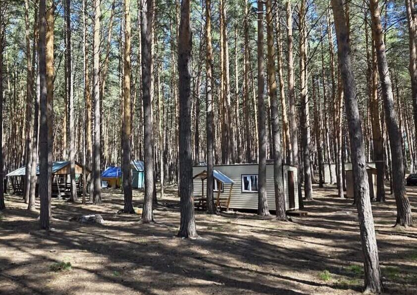 Комфортный семейный отдых: как развивается туризм на озере Имантау в СКО
