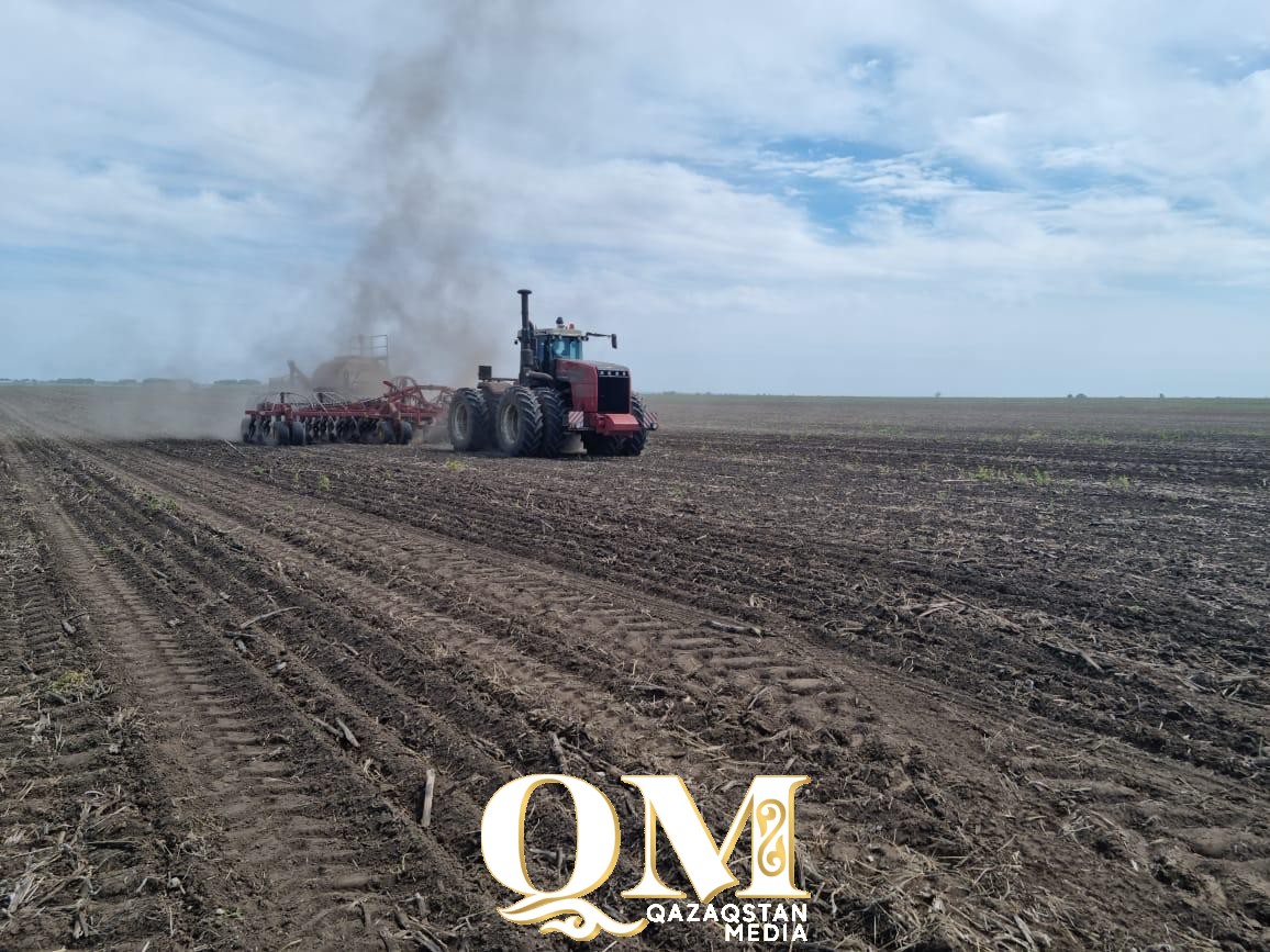 Посевная перешла экватор – сколько зерна посеяли в СКО?