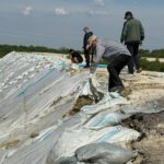 Все на субботник! Госслужащие очистили 4 км дамбы в Петропавловске