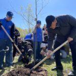 Аллея единства появилась в парке Петропавловска