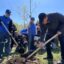 Аллея единства появилась в парке Петропавловска
