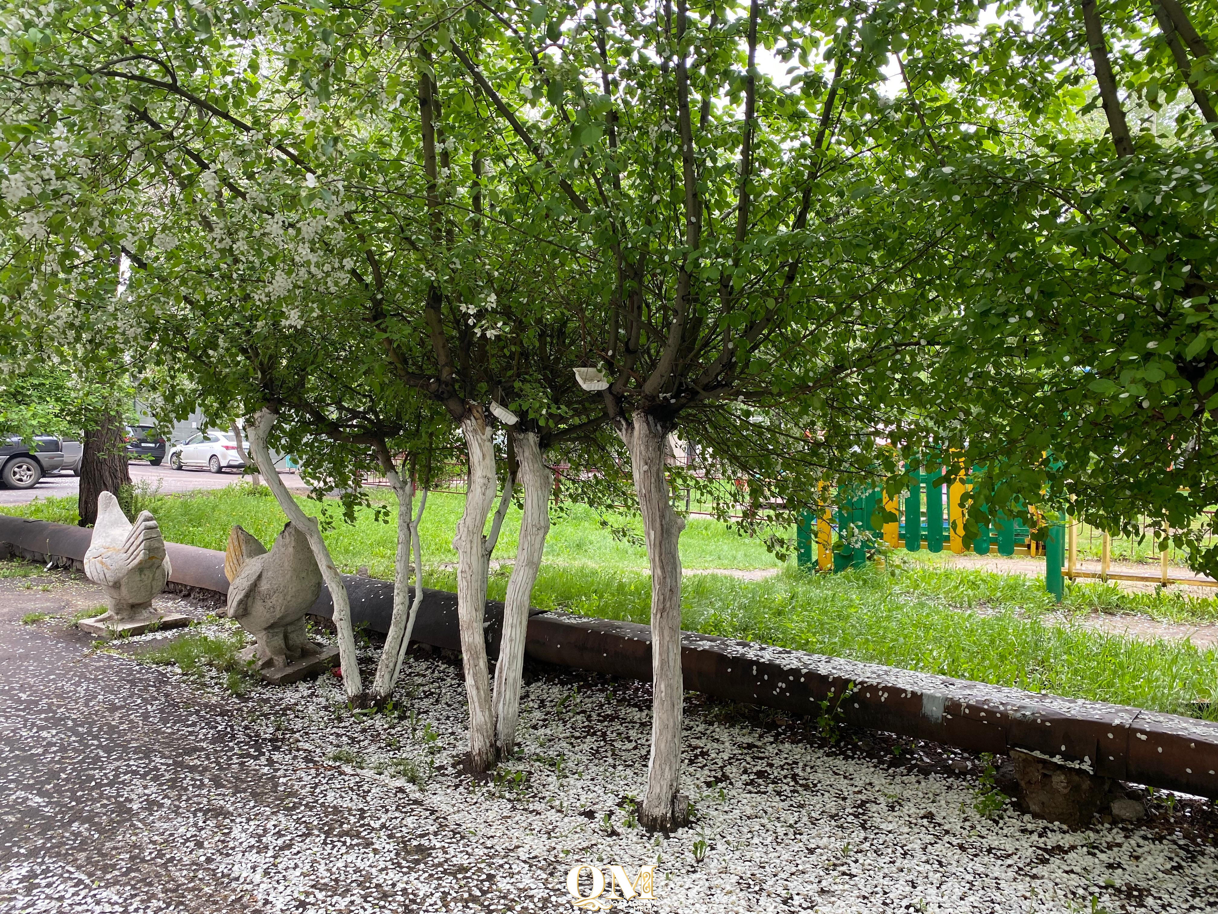 Пеките пироги, если хотите выйти замуж – какой будет погода 21 мая в СКО