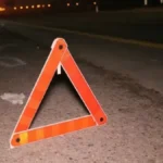 Солтүстік Қазақстанда жеңіл көлік бұғыны соғып кетті