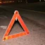 Солтүстік Қазақстанда жеңіл көлік бұғыны соғып кетті