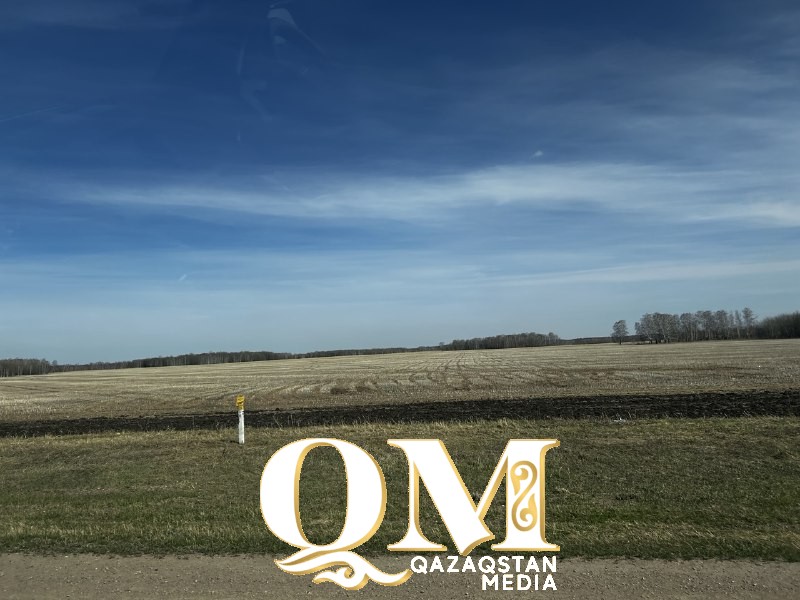 СҚО-да биыл 64 мың гектар жер мемлекетке қайтырылуы керек