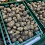 Қазақстанға қосымша 45 мың тонна картоп импортталды