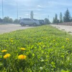 10-шы маусымда СҚО-да дауылды ескерту жарияланды