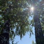 СҚО-да 25-ші маусымда тұман түседі