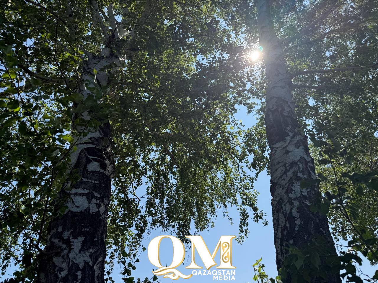 СҚО-да 25-ші маусымда тұман түседі