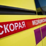Подавился семечкой. Двухлетний мальчик умер в Петропавловске