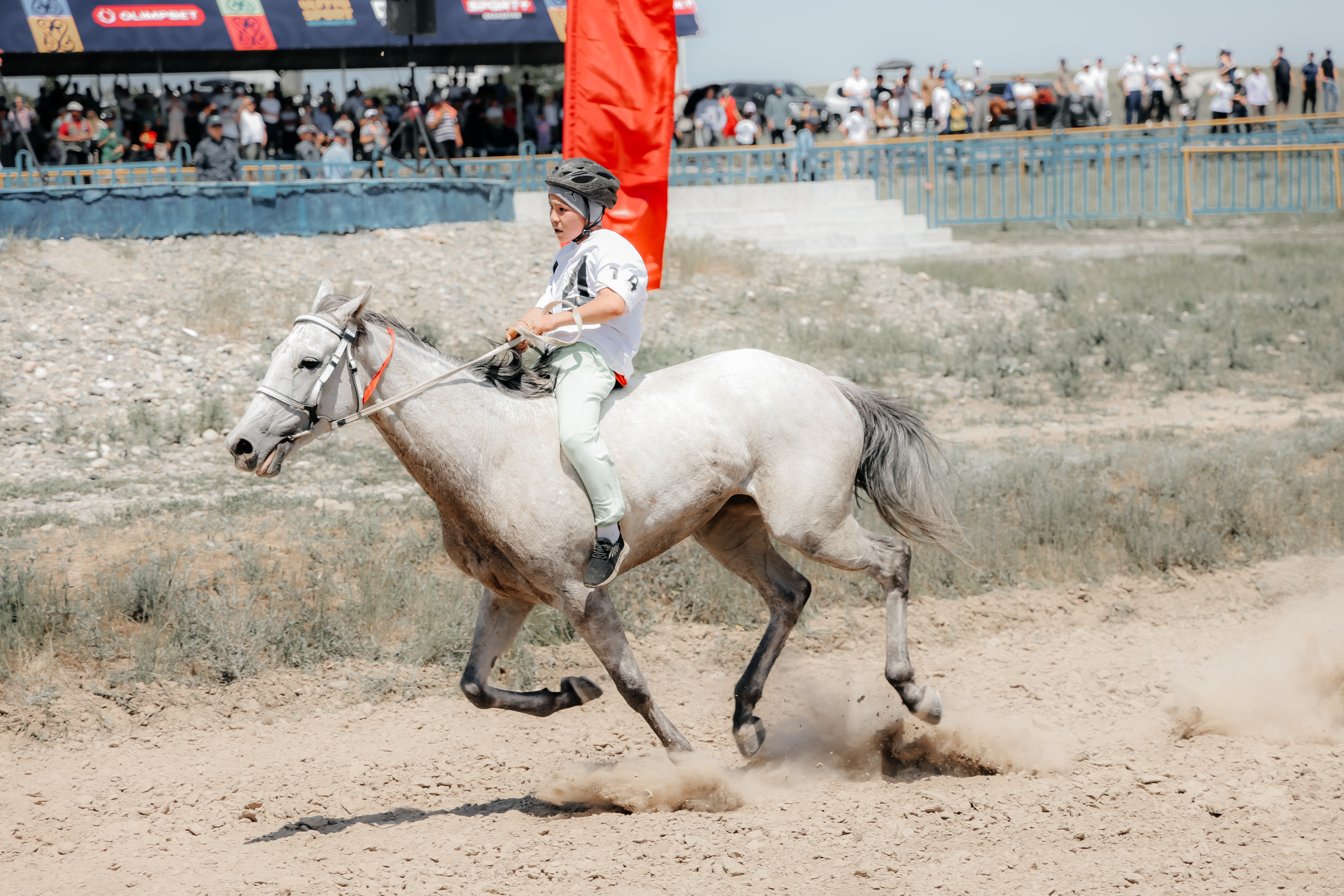 Четвертый этап чемпионата Казахстана по байге пройдет в Петропавловске