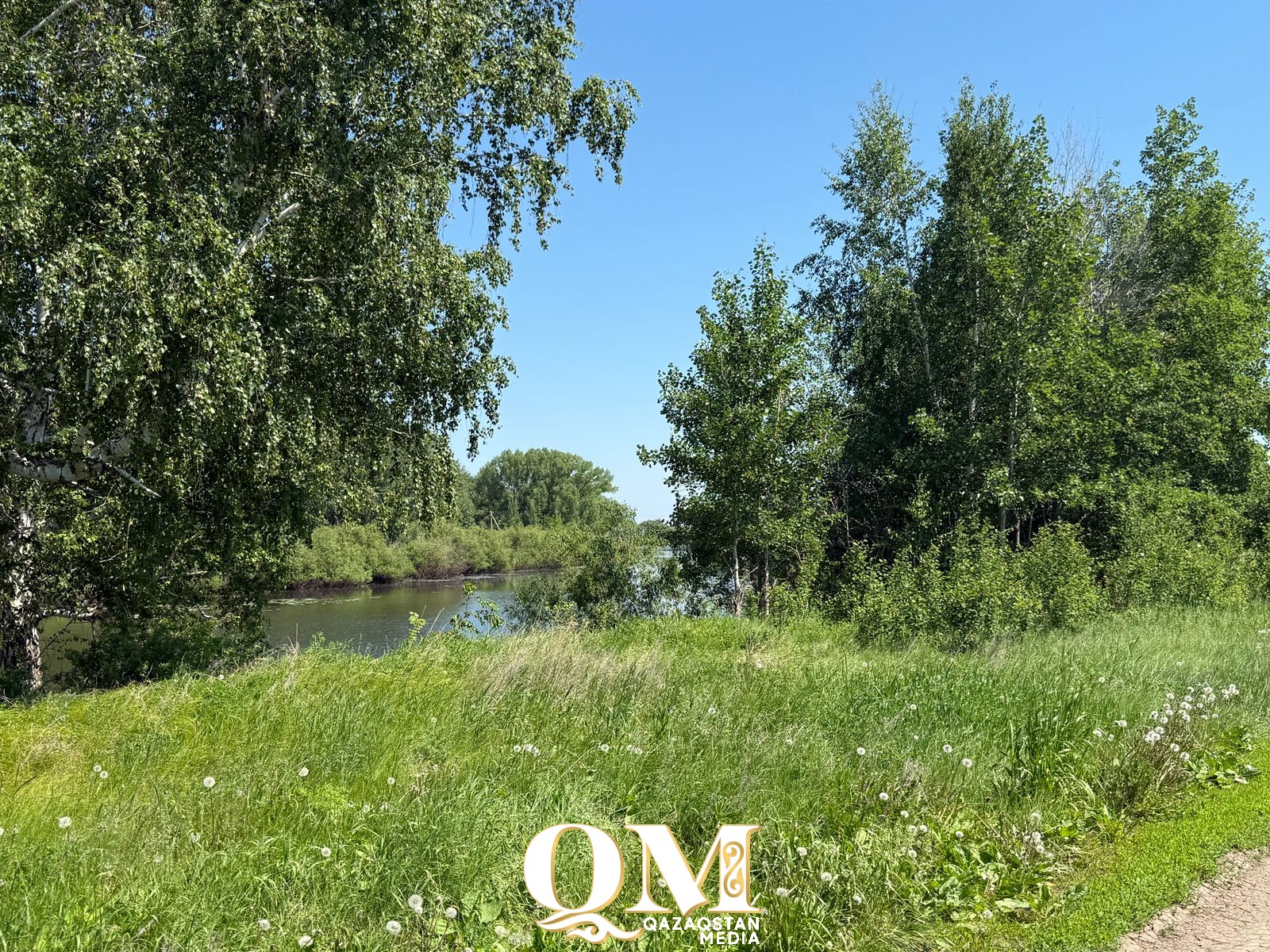 Тополиный пух, жара, июнь - какой будет погода в ближайшие дни в СКО?