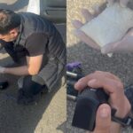 Вместо денег синтетика и каннабис. Барсетку с наркотиками обнаружили у мужчины в СКО