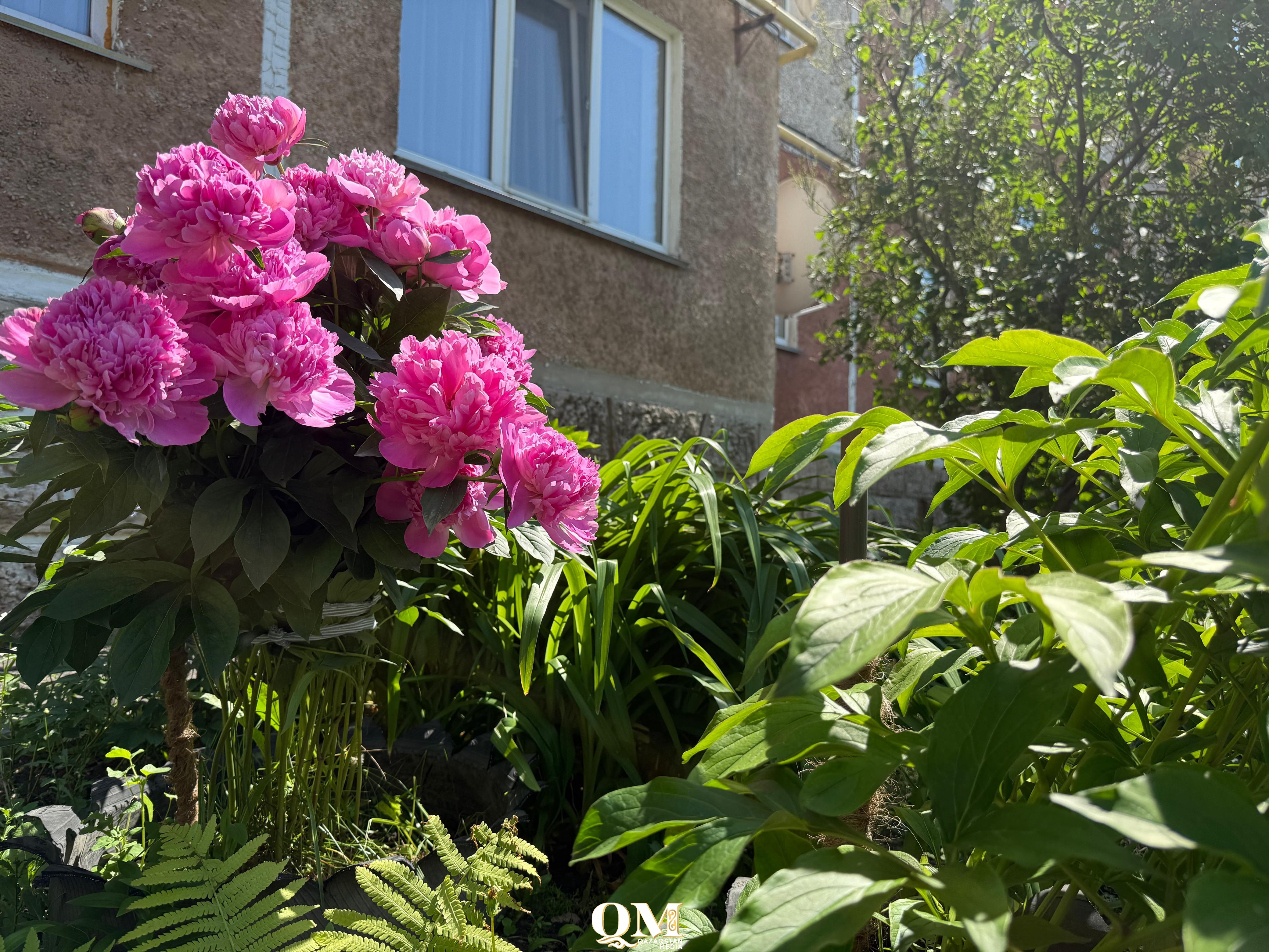 Жара на максималках: +35 градусов ожидается в СКО