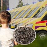 Подавился семечкой. Двухлетний мальчик умер в Петропавловске