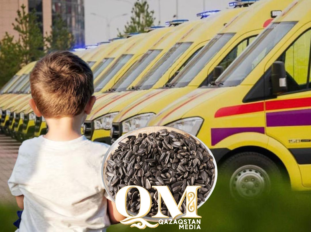 Подавился семечкой. Двухлетний мальчик умер в Петропавловске