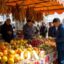 Все скупают оптовики – очередная сельскохозяйственная ярмарка пройдет в Петропавловске 21 июня