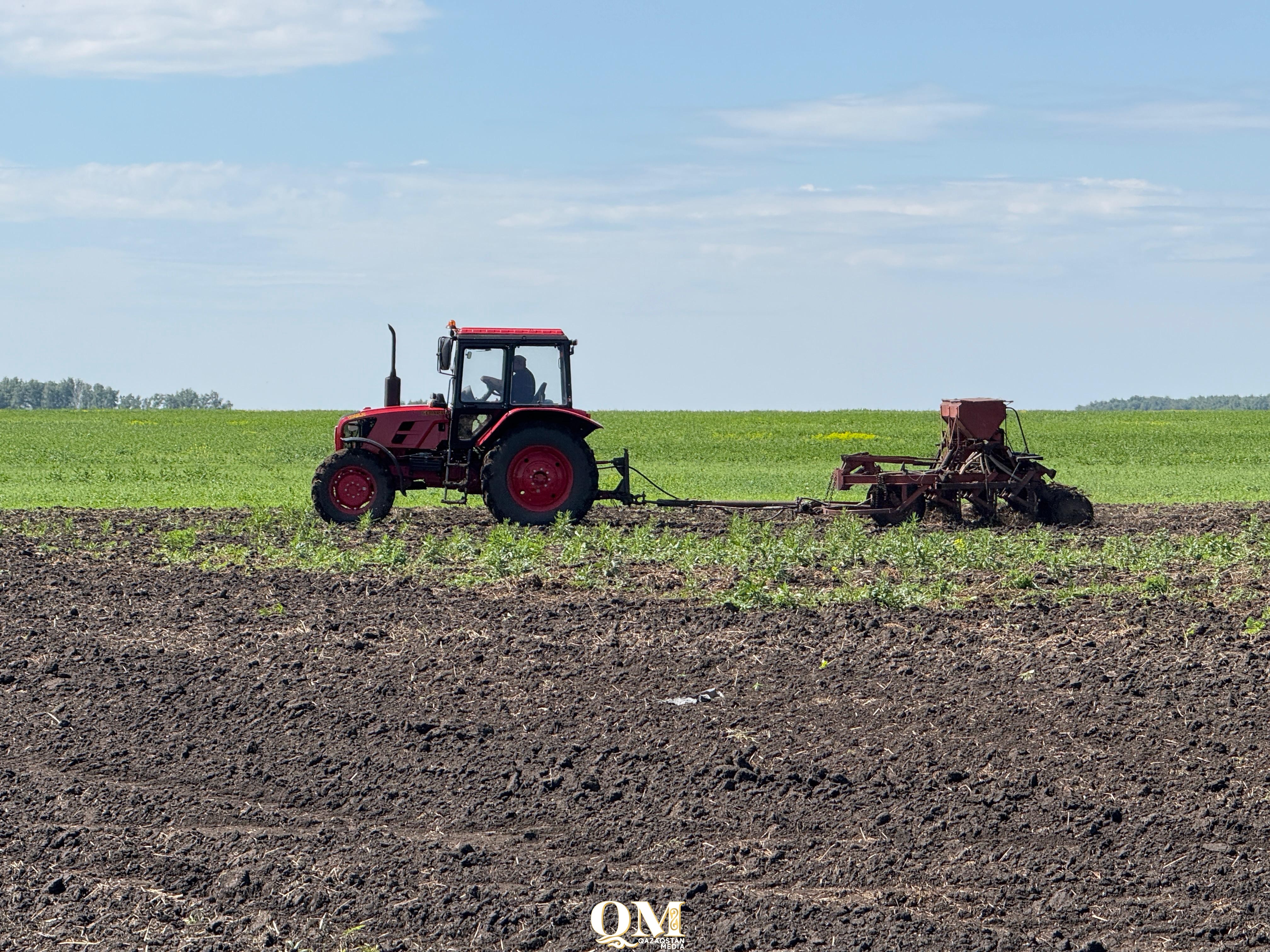 Трактористы, логопеды, швеи: топ профессий, в которых нуждается СКО