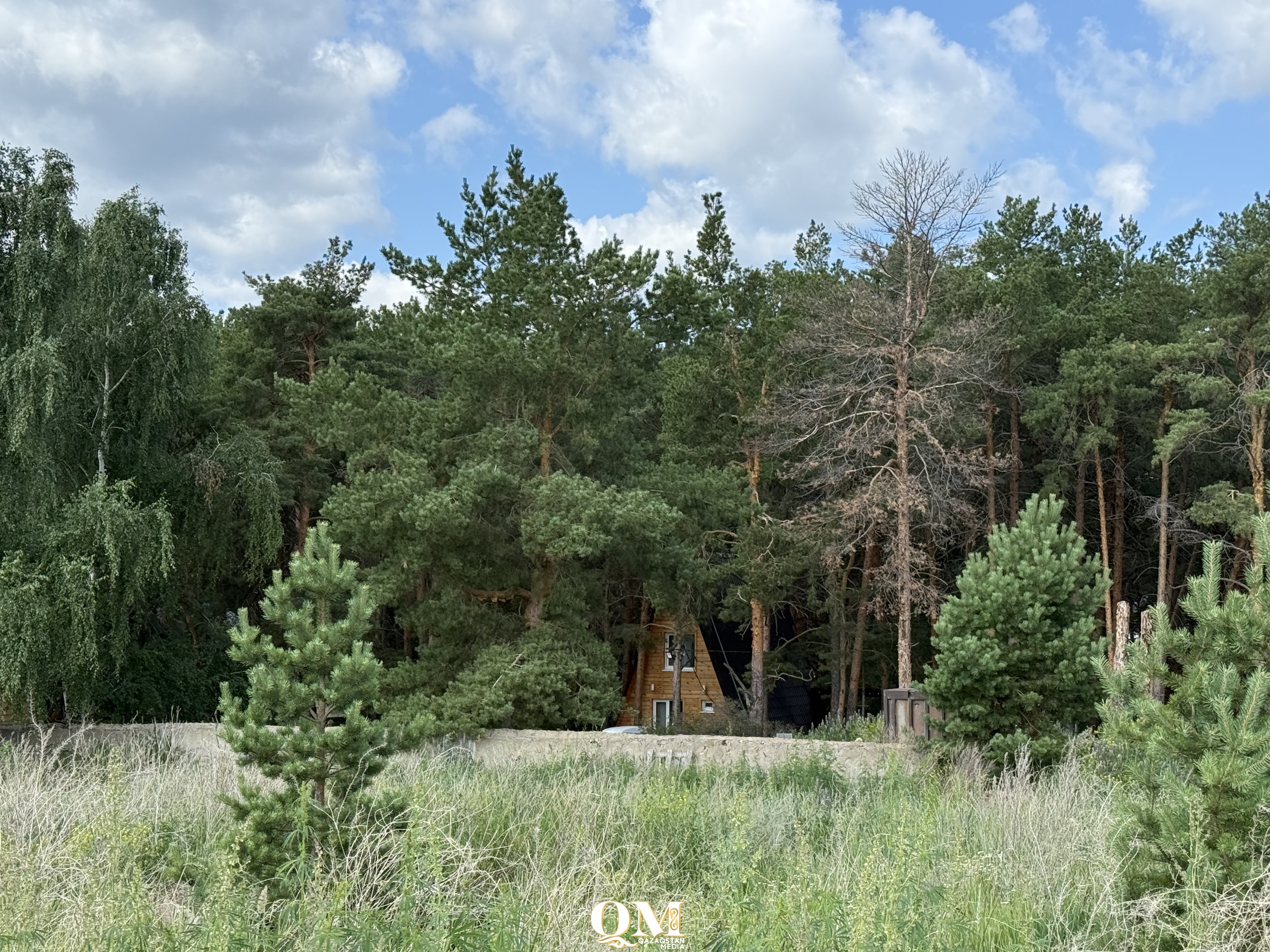 Почти двести детей укусили клещи в СКО