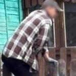 «Больше мусора, чем добычи»: воры хозяйничают на дачах Петропавловска