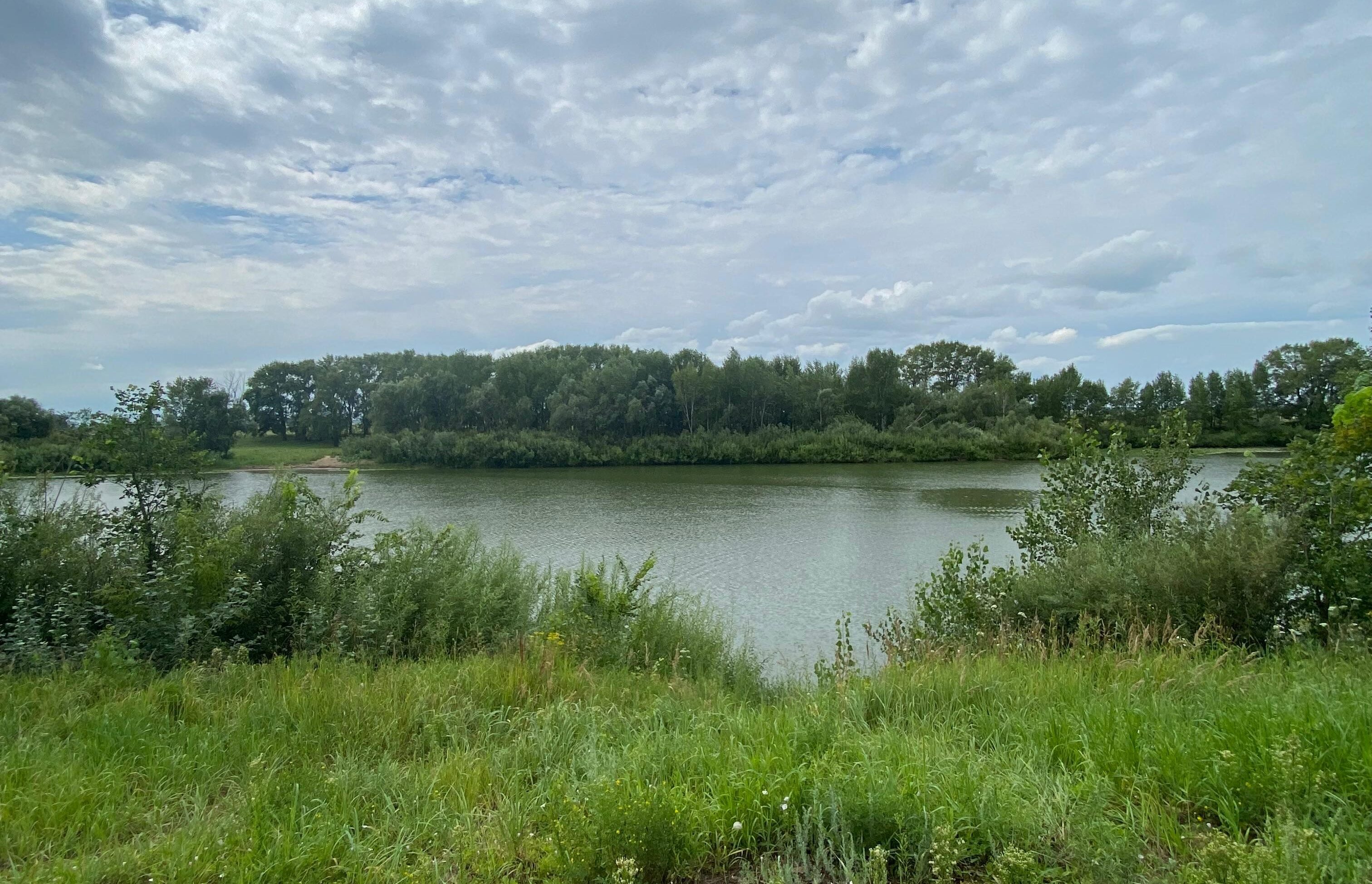 В каких условиях пройдет уборка урожая на севере Казахстана?