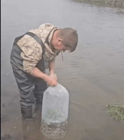 СҚО су қоймаларына  104 млн теңгеге балық дернәсәлдері жіберілді