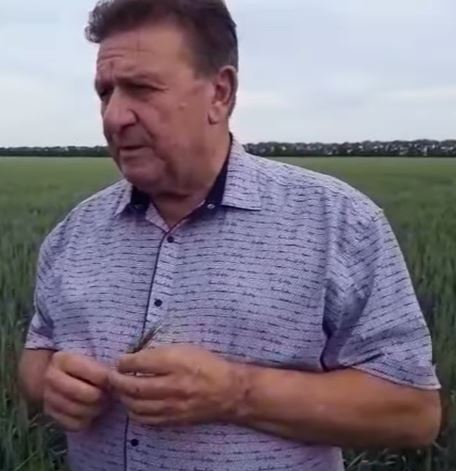 Не на авось, а по науке – аграрии СКО прогнозируют хороший урожай