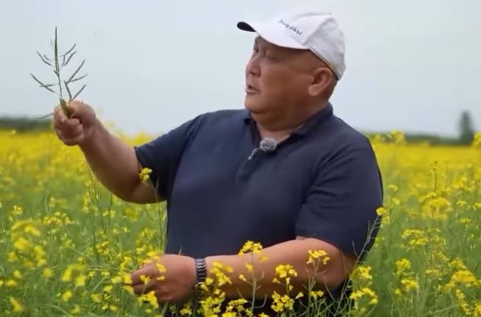 Не на авось, а по науке – аграрии СКО прогнозируют хороший урожай