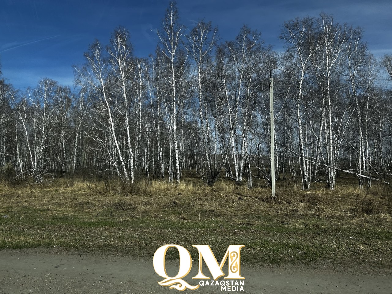 Петропавл мен Мамлюткада өсімдіктерді қорғауда заң бұзушылықтар тіркелді