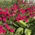Готовь sunny летом: как встретить осеннюю хандру во всеоружии
