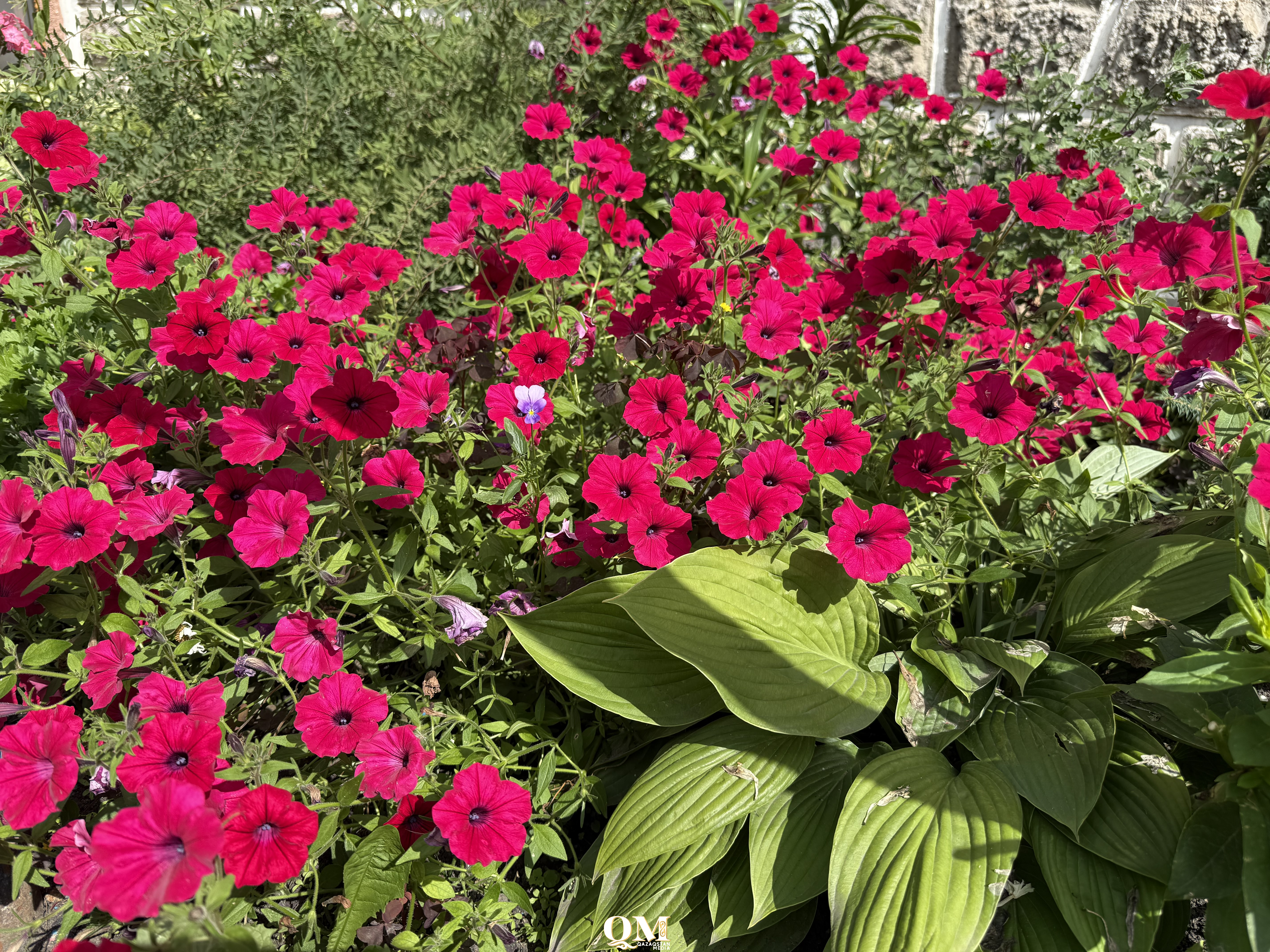 Готовь sunny летом: как встретить осеннюю хандру во всеоружии