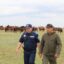 Вот же скот! Из-за животных девять человек пострадали на дорогах СКО