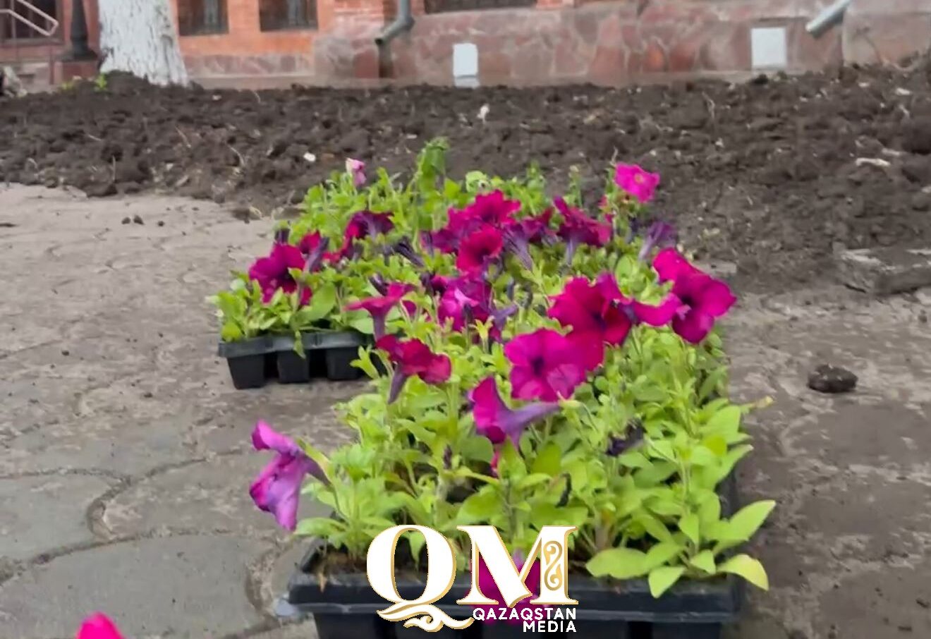 Вывезли более 350 тонн мусора и высадили 370 тысяч цветов в Петропавловске