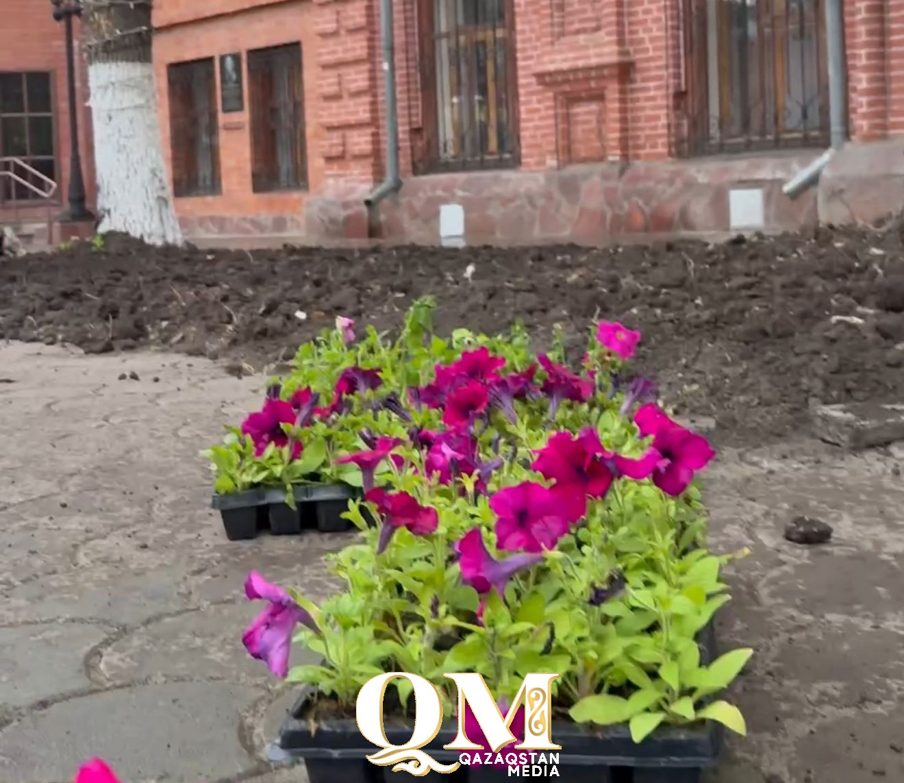 Вывезли более 350 тонн мусора и высадили 370 тысяч цветов в Петропавловске