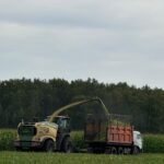 Солтүстік диқандары 500 мың тоннаға жуық астық жинады