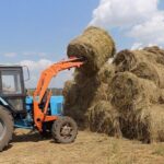 В лидерах по заготовке кормов на зиму Северо-Казахстанская область