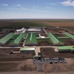 Молочно-товарную ферму на 1200 голов строят в районе им. Г. Мусрепова СКО