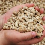 СҚО-да автоматтандырылған жем зауыты ашылады