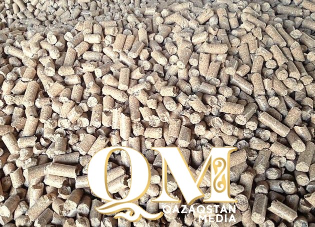 Из степей — в Эмираты: в СКО строят завод премиум-кормов