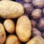 Фиксированные цены на продукты: как сэкономить в Петропавловске?