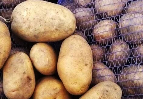 Фиксированные цены на продукты: как сэкономить в Петропавловске?