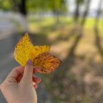 Солтүстікте қыркүйек айы салқын болады