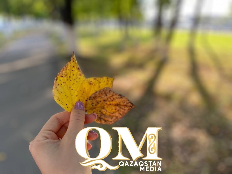 Солтүстікте қыркүйек айы салқын болады