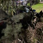 В Петропавловске 19-летняя девушка на BMW врезалась в дерево