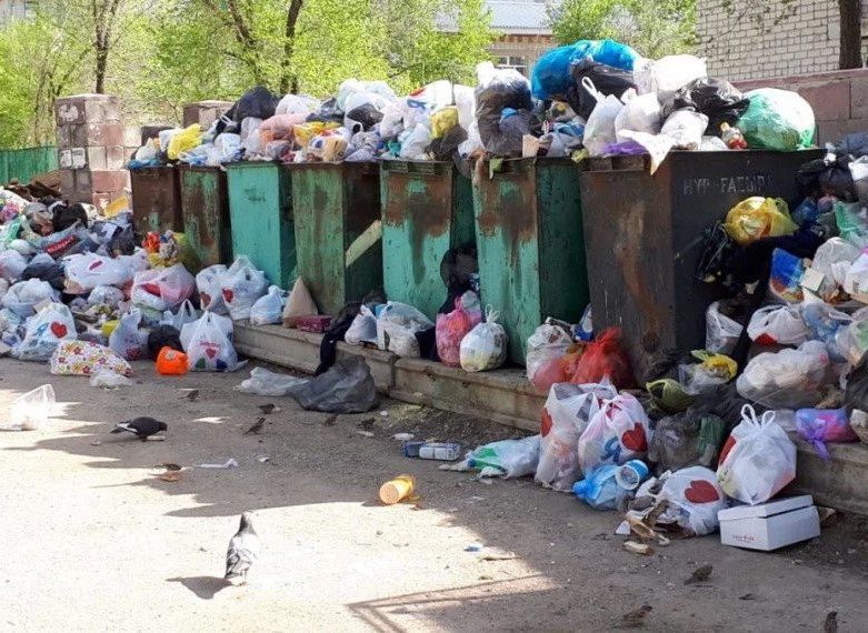 Петропавлда жыл басынан бері абаттандыру ережесін бұзудың 5 мыңға жуық фактісі тіркелді