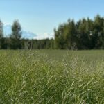 За состоянием водоемов и воздуха в СКО можно следить онлайн